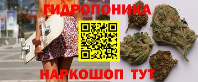 круглые Краснознаменск