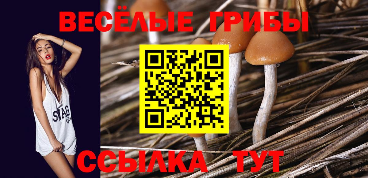 Галлюциногенные грибы мицелий  купить наркотики сайты  Зеленокумск  Вход с VPN 